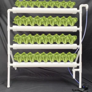 36-Hole Hydroponics Growing System Kit