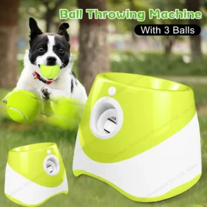 Automatic Ball Launcher